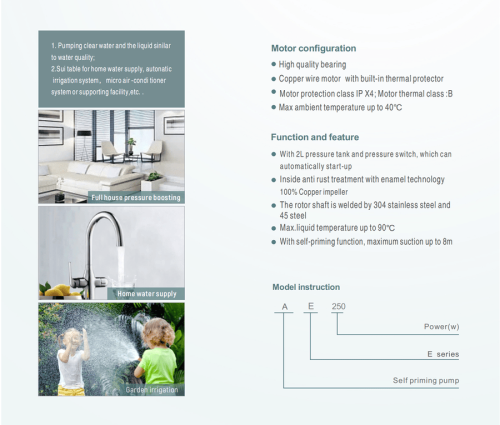 Насосная (мини) станция вихревая AE550 GRANDFAR — изображение 2