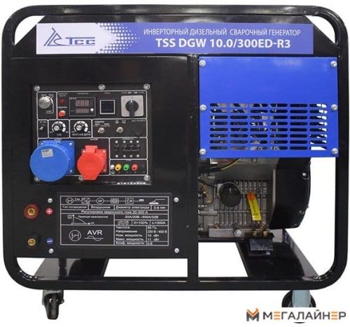 Дизельный генератор ТСС DGW 10.0/300ED-R3 — изображение 2