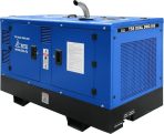 Дизельный сварочный генератор ТСС DUAL DWG-500 — изображение 2