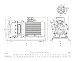 Насос FS65-50-125-4.0 центробежный горизонтальный одноступенчатый — изображение 7